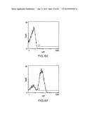 Identification and Engineering of Antibodies with Variant Fc Regions and     Methods of Using Same diagram and image