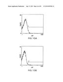 Identification and Engineering of Antibodies with Variant Fc Regions and     Methods of Using Same diagram and image