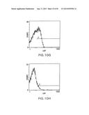 Identification and Engineering of Antibodies with Variant Fc Regions and     Methods of Using Same diagram and image