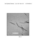 CHITIN NANOWHISKER COMPOSITES AND METHODS diagram and image