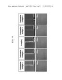 ETCHANT COMPOSITION AND METHOD OF FORMING METAL WIRE AND THIN FILM     TRANSISTOR ARRAY PANEL USING THE SAME diagram and image