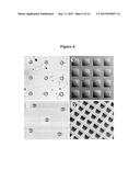 ARRAY OF MICROMOLDED STRUCTURES FOR SORTING ADHERENT CELLS diagram and image