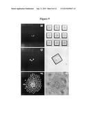 ARRAY OF MICROMOLDED STRUCTURES FOR SORTING ADHERENT CELLS diagram and image