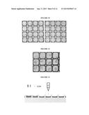 ARRAY OF MICROMOLDED STRUCTURES FOR SORTING ADHERENT CELLS diagram and image