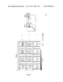 METHOD FOR INDUCING IL-2-FREE PROLIFERATION OF GAMMA DELTA T CELLS diagram and image