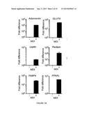 HUMAN ADIPOSE TISSUE WHITE AND  BROWN-ON-WHITE  PROGENITORS FOR     RECONSTRUCTIVE AND METABOLIC THERAPIES diagram and image