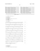 CHIMERIC GENES FOR THE CATALYTIC PROTEIN OF OPLOPHORUS LUCIFERASE AND USE     THEREOF diagram and image