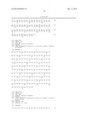 CHIMERIC GENES FOR THE CATALYTIC PROTEIN OF OPLOPHORUS LUCIFERASE AND USE     THEREOF diagram and image