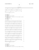 CHIMERIC GENES FOR THE CATALYTIC PROTEIN OF OPLOPHORUS LUCIFERASE AND USE     THEREOF diagram and image