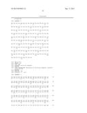 CHIMERIC GENES FOR THE CATALYTIC PROTEIN OF OPLOPHORUS LUCIFERASE AND USE     THEREOF diagram and image