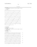 CHIMERIC GENES FOR THE CATALYTIC PROTEIN OF OPLOPHORUS LUCIFERASE AND USE     THEREOF diagram and image