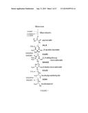DECARBOXYLASE PROTEINS WITH HIGH KETO-ISOVALERATE DECARBOXYLASE ACTIVITY diagram and image