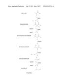 DECARBOXYLASE PROTEINS WITH HIGH KETO-ISOVALERATE DECARBOXYLASE ACTIVITY diagram and image