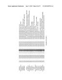 DECARBOXYLASE PROTEINS WITH HIGH KETO-ISOVALERATE DECARBOXYLASE ACTIVITY diagram and image