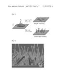 PREPARING METHOD OF VERTICALLY GROWN NANOSTRUCTURES OF C60 AND CONJUGATED     MOLECULE diagram and image