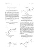 METHODS FOR DETECTING AND REDUCING IMPURITIES OF LAPATINIB AND SALTS     THEREOF diagram and image