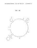 UNIVERSAL  NUCLEIC  ACID  APTAMERS  FOR COMMONLY  BINDING  TO  VARIOUS     TYPES  OF MICROORGANICMS  AND  METHOD  OF  PRODUCING  THE  SAME diagram and image