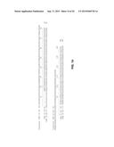 Methods, Devices, Kits and Compositions for Detecting Roundworm, Whipworm,     and Hookworm diagram and image