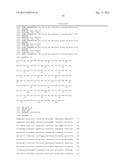 Methods, Devices, Kits and Compositions for Detecting Roundworm, Whipworm,     and Hookworm diagram and image