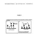 COMPANION DIAGNOSTICS FOR TEC FAMILY KINASE INHIBITOR THERAPY diagram and image