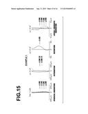 IMAGING LENS AND IMAGING APPARATUS EQUIPPED WITH THE IMAGING LENS diagram and image