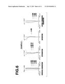 IMAGING LENS AND IMAGING APPARATUS diagram and image