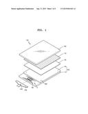 DISPLAY DEVICE diagram and image