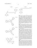 P-STATIC CHARGE DRAIN LAYER INCLUDING CARBON NANOTUBES diagram and image