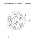 HELMET PADDING SYSTEM diagram and image