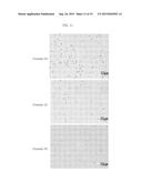 MICROCAPSULE COMPRISING GLYCOPROTEIN DERIVED FROM PLANTS diagram and image
