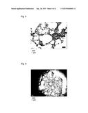 CATALYST SUPPORT FOR PURIFICATION OF EXHAUST GAS, CATALYST FOR     PURIFICATION OF EXHAUST GAS USING THE SAME, AND METHOD FOR PRODUCING THE     CATALYST SUPPORT FOR PURIFICATION OF EXHAUST GAS diagram and image