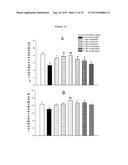 HETEROAROMATIC COMPOUNDS, METHOD FOR PREPARING THE COMPOUNDS,     PHARMACEUTICAL COMPOSITIONS, USES AND METHOD FOR TREATING ACUTE AND     CHRONIC PAIN diagram and image