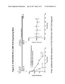 FACTOR VIII COMPLEX WITH XTEN AND VON WILLEBRAND FACTOR PROTEIN, AND USES     THEREOF diagram and image