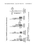 FACTOR VIII COMPLEX WITH XTEN AND VON WILLEBRAND FACTOR PROTEIN, AND USES     THEREOF diagram and image