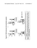 FACTOR VIII COMPLEX WITH XTEN AND VON WILLEBRAND FACTOR PROTEIN, AND USES     THEREOF diagram and image