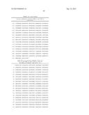 FACTOR VIII COMPLEX WITH XTEN AND VON WILLEBRAND FACTOR PROTEIN, AND USES     THEREOF diagram and image