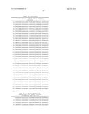 FACTOR VIII COMPLEX WITH XTEN AND VON WILLEBRAND FACTOR PROTEIN, AND USES     THEREOF diagram and image