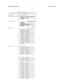 FACTOR VIII COMPLEX WITH XTEN AND VON WILLEBRAND FACTOR PROTEIN, AND USES     THEREOF diagram and image