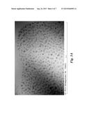 Poly Alkyl (Meth)Acrylates Grafted Nanoparticles and Their Methods of     Manufacture and Use diagram and image