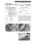 In Situ Exfoliation Method to Fabricate a Graphene-Reinforced Polymer     Matrix Composite (G-PMC) diagram and image