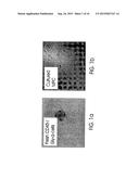 MULTIPOTENT ADULT STEM CELLS AND METHODS FOR ISOLATION diagram and image