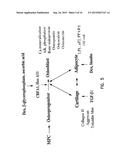 MULTIPOTENT ADULT STEM CELLS AND METHODS FOR ISOLATION diagram and image