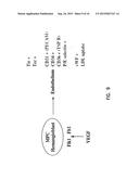 MULTIPOTENT ADULT STEM CELLS AND METHODS FOR ISOLATION diagram and image