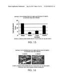 MULTIPOTENT ADULT STEM CELLS AND METHODS FOR ISOLATION diagram and image