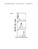 ISOLATION OF ADULT MULTIPOTENTIAL CELLS BY TISSUE NON-SPECIFIC ALKALINE     PHOSPHATASE diagram and image