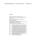 ISOLATION OF ADULT MULTIPOTENTIAL CELLS BY TISSUE NON-SPECIFIC ALKALINE     PHOSPHATASE diagram and image