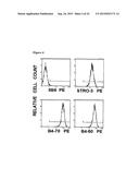 ISOLATION OF ADULT MULTIPOTENTIAL CELLS BY TISSUE NON-SPECIFIC ALKALINE     PHOSPHATASE diagram and image