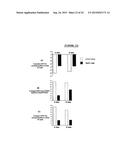 ISOLATION OF ADULT MULTIPOTENTIAL CELLS BY TISSUE NON-SPECIFIC ALKALINE     PHOSPHATASE diagram and image