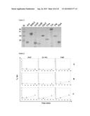 NOVEL METHANOL DEHYDROGENASE ENZYMES FROM BACILLUS diagram and image