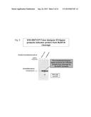 Designer Ubiquitin Ligases for Regulation of Intracellular Pathogenic     Proteins diagram and image